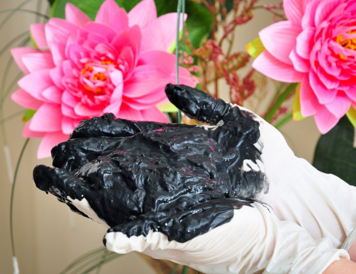 Грязевые процедуры - Санаторий «Солнечный» Кисловодск