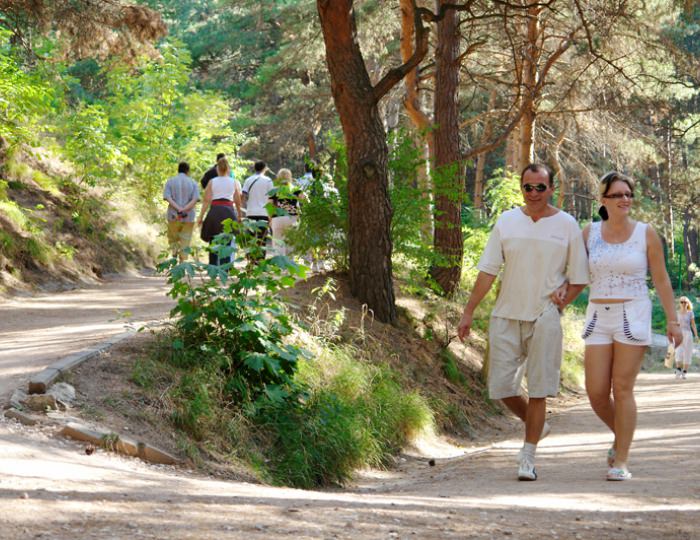 Терренкур - Санаторий «Солнечный» Кисловодск Терренкур - Санаторий «Солнечный» Кисловодск