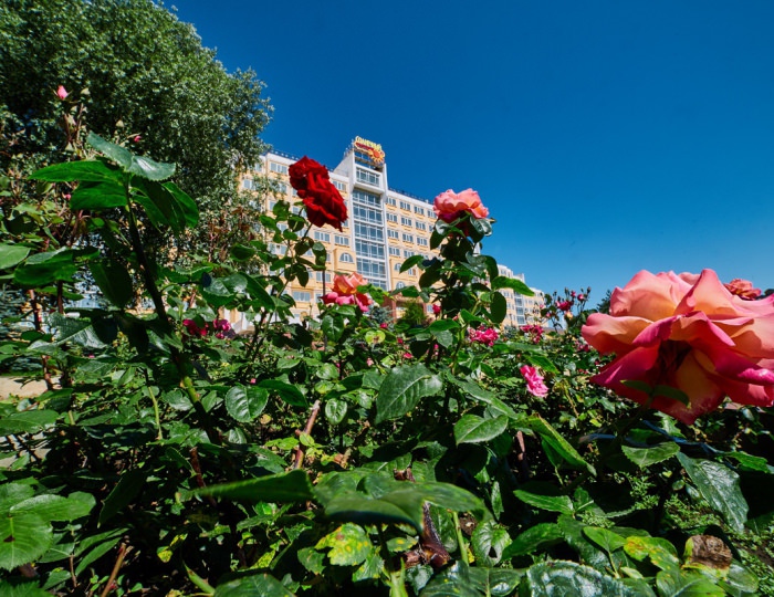 Контакты - Санаторий «Солнечный» Кисловодск Контакты - Санаторий «Солнечный» Кисловодск